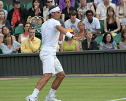 Wimbledon Tennis q2aiycz9md536aawh3rx72av4gb6yp7rkj7mhalnww